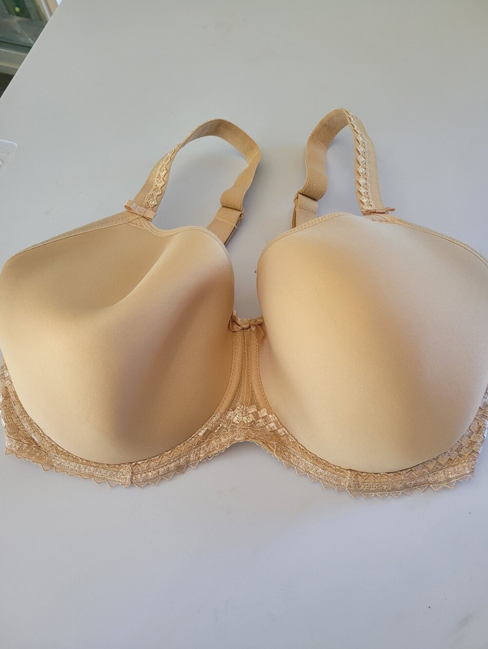 Fantasie 34H Beige Smooth Full-Coverage Bra with Lace Underband